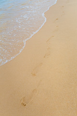 Footsteps in the sand phu Quoc