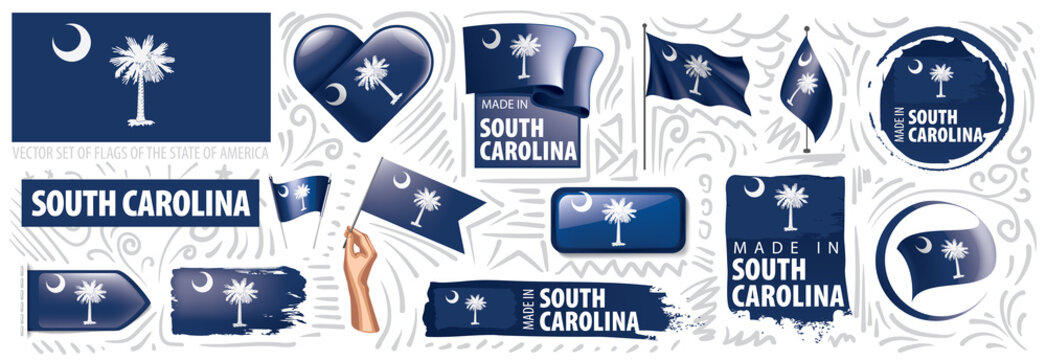 Vector set of flags of the American state of South Carolina in different designs