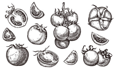 Tomato. Hand drawn set.