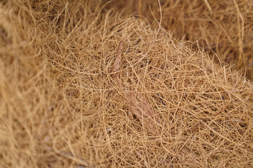 Straw pile close-up shot with dried leaves background