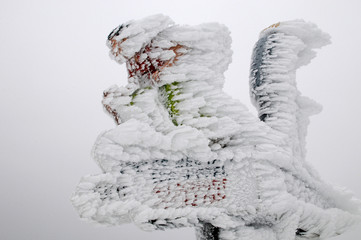 L'enfant pris dans la glace