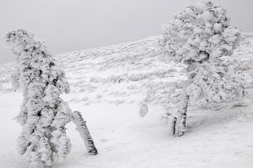 Super-winter