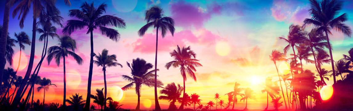 Silhouette Tropical Palm Trees At Sunset - Summer Vacation With Vintage Tone And Bokeh Lights
