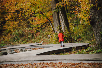 railroad crossing in autumn