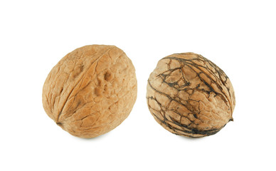 Two whole walnuts closeup isolated on white background       