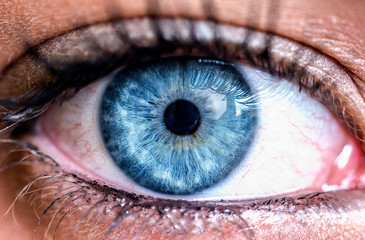 detailed macro of a blu eye 
