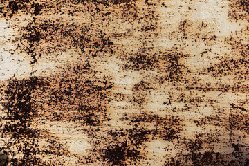 The metal​ texture​ of rust​y on​ surface​ wall​ steel. Rusty metal sheet, metal background, industrial texture. The surface of a rusted metal sheet.