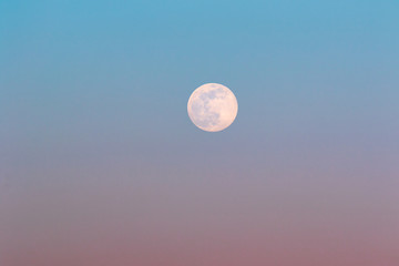 Naklejka na ściany i meble Full moon rising during spring evening with blue and pink sky.