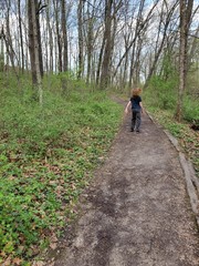 Obraz premium walking in the woods