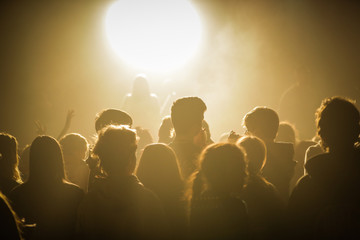 crowd at concert