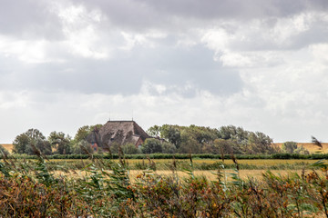 German cottage on the North Sea