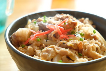 Gyudon,japanese beef bowl traditional dish made from thinly sliced beef,rice, onion, soy sauce