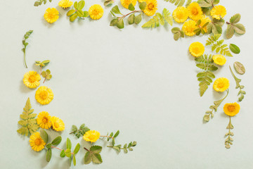 Obraz premium spring yellow flowers on paper background