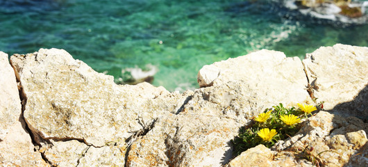 Sea coast. Costa Blanca, Calp, Spain