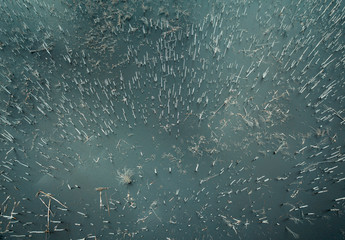 Flooded birch forest. Swamps under the autumn sky.