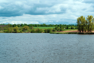 River landscape, river bank, spring grass