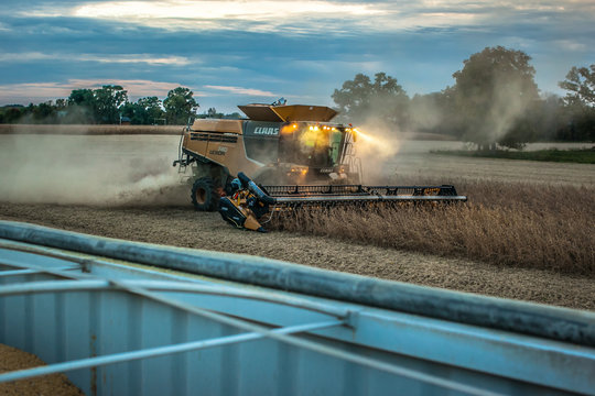 A Claas combine harvesting soybeans in the evening with headlights lights on, dust, and a grain trailer in the foreground.