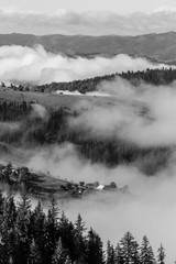 Dramatic Black and White Mountains Forests Fog In Carpathians