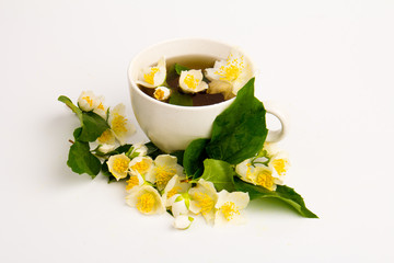 Jasmine flowers whith cup of tea on white background. Space for text