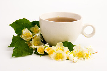 Jasmine flowers whith cup of tea on white background. Space for text