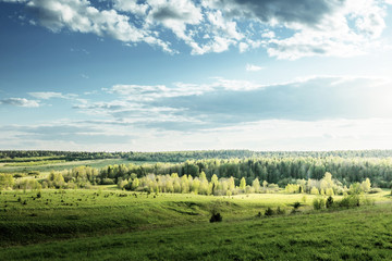 field of spring grass and perfect sky