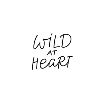 Wild at heart quote lettering. Calligraphy inspiration graphic design typography element. Hand written postcard. Cute simple black vector sign. Geometric simple forms background.