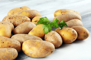 Pile of potatoes lying on wooden boards. Fresh healthy potato