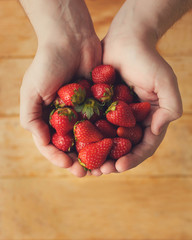 A handful of red, fresh strawberries in male hands