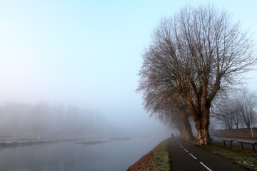 Cycle lane in foggy winter morning