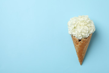 Waffle cone with hydrangea on blue background. Spring plant