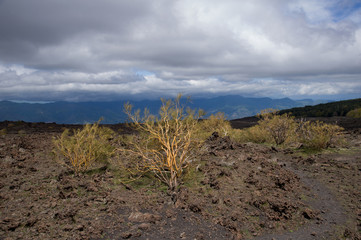 Etna volcano