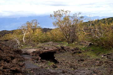 Etna volcano