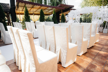 Beautifully decorated and arranged chairs for a festive Banquet. Decor, wedding