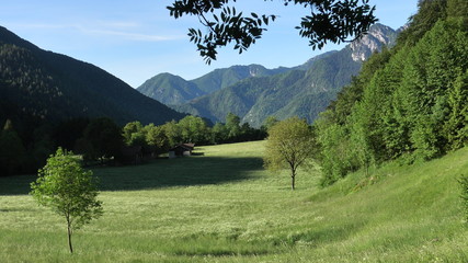 paesaggio rurale nelle prealpi di Ledro