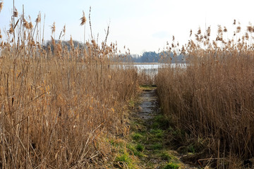 Path to the river bank