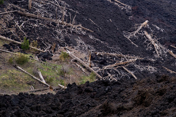 Etna volcano