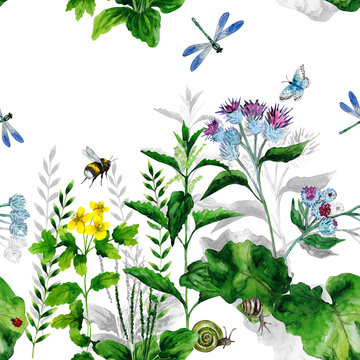 Meadow with burdock, nettle, plantain, gragonfly, ladybug, butterfly, bumblebee. Hand-drawn watercolor wild herbs seamless pattern design for wallpaper,paper, textile, fabric.