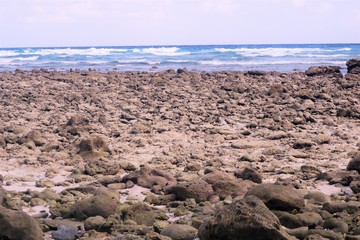 beautiful beach view of lakshdweep