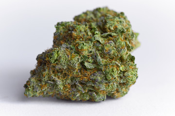 close up macro photo of high quality greenhouse grown medical and and recreational marijuana indica strain marijuana bud isolated on white background