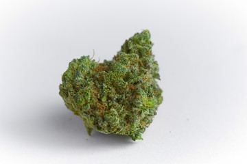 close up macro photo of high quality greenhouse grown medical and and recreational marijuana indica strain marijuana bud isolated on white background