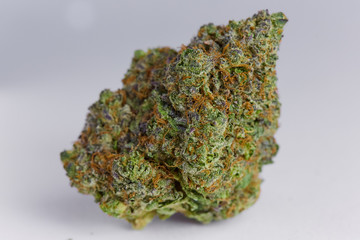 close up macro photo of high quality greenhouse grown medical and and recreational marijuana indica strain marijuana bud isolated on white background