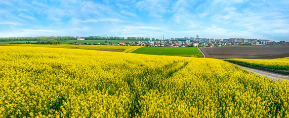 Wonderful panoramic view on the rapeseed field waves from above, and the city on the horizon
