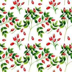 Rose hip with berries on a white background. Healing herbs seamless pattern design for wallpaper, paper, textile, fabric.