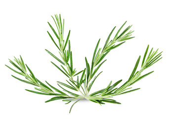 Sprigs of rosemary on an isolated white background. Clipping path.