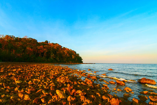 Waves on a stony shore on the background of a forested cape