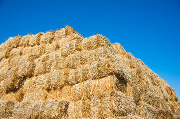 Storage with piles of stacks of hay