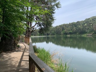 wooden bridge over lake