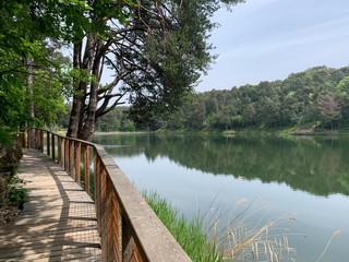 wooden bridge over lake