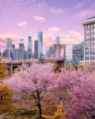 Blossom trees in front of Brooklyn Bridge and World Trade Center, Manhattan skyline, pink vanilla sunset sky with clouds