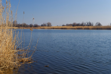 Abnormally warm and snowless winter 2020 in the Rostov region. River Mertvy Donets, Russia